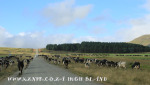 Kamberg area farm scenes .(.2) (1)
