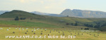 Kamberg area farm scenes .(1.) (3)