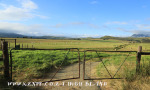 Kamberg area farm scenes (3)