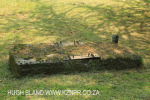 Benvie - sawmill (1)