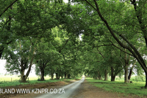 Karkloof Valley Conservancy