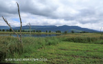 Karkloof Conservancy hide views (3)