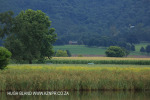 Karkloof Conservancy hide views of Colborne Farm