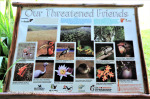 Karkloof Conservancy information Boards (7)