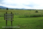 Karkloof Conservancy wetland (1)