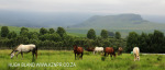 Karkloof Valley and Loskop hill in background (1)