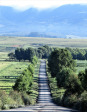 Karkloof Valley with road to Barrington farm (3)