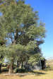 Shafton Grange outbuilding) (2)