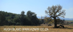 Shafton Grange stables (1)