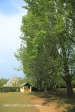 Karkloof St Marks Church lynchgate.. (2)