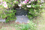Karloof St Marks Church grave Campbell & Camilla Shaw and children