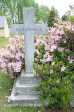 Karloof St Marks Church grave Walter & Elizabeth Shaw