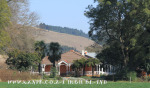 Karkloof Barrington Farm D406 - 21523 (3)