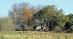 Karkloof Barrington Farm D406 - 21523 (8)
