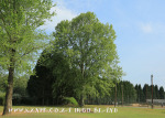 Karkloof Country Club Exterior (3)