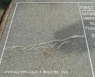 Karkloof Goodman Houshold Aviation Monument D293 29.20.0 S 30.11.5 E(22)