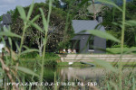 Karkloof Rockwood Lodge cottage  (4.) (7)