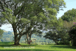 Kearsney College David Hall Conservancy