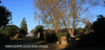 Kearsney College - Haley House (1)