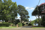 Kearsney College Haley House