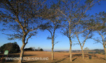 Kearsney College - Hopkins Field (1)