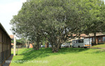 Kearsney College classroom block (10)
