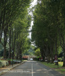 Kearsney College entrance drive (2)