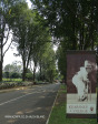 Kearsney College entrance drive (3)