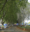 Kearsney College entrance drive (5)