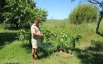 Kearsney Estate - Old Tea estate wells (2)