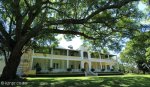 Kearsney Manor - east elevation (1)