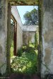 Kearsney Manor -  ruined staff quarter residence (10)