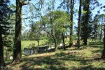 Kearsney Manor -  ruined staff quarter residence (13)