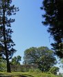Kearsney Manor -  ruined staff quarter residence (14)