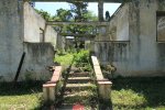 Kearsney Manor -  ruined staff quarter residence (8)