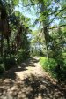 Kirkleyvale (14)