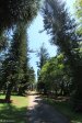 Kirkleyvale (4)