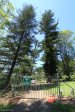 Kirkleyvale (5)