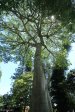 Sibton Hall -  (13)