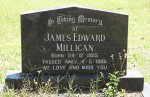 Kearsney Manor - Graveyard - grave - James Millican 1986