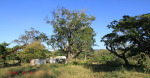 Kearsney Manor - Outbuilding ruins (west ) - 29.17.168 S 31.14.284 E  (1)