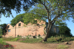 Kearsney Manor - Outbuilding ruins (west ) - 29.17.168 S 31.14.284 E  (2)