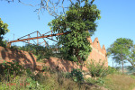 Kearsney Manor - Outbuilding ruins (west ) - 29.17.168 S 31.14.284 E  (3)