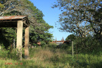 Kearsney Manor - Outbuilding ruins (west ) - 29.17.168 S 31.14.284 E  (5)