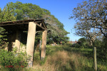 Kearsney Manor - Outbuilding ruins (west ) - 29.17.168 S 31.14.284 E  (6)