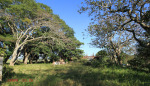 Kearsney Manor - Outbuilding ruins (west ) - 29.17.168 S 31.14.284 E  (7)