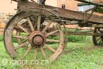 kings-grant-st-isadore-ox-wagon-1