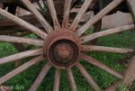 kings-grant-waggon-wheels-4