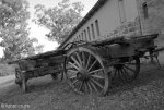 kings-grant-waggon-wheels-6