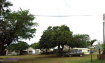 Winklespruit Caravan Park - Illovo river - S 30d 06.346 E 30d 51 (1)